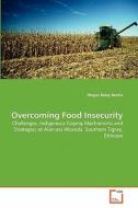 Overcoming Food Insecurity di Moges Belay Bantie edito da VDM Verlag