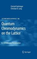 Quantum Chromodynamics on the Lattice di Christof Gattringer, Christian B. Lang edito da Springer-Verlag GmbH