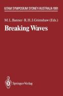 Breaking Waves edito da Springer Berlin Heidelberg