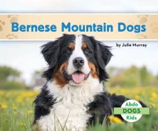 Bernese Mountain Dogs di Julie Murray edito da ABDO KIDS JUMBO