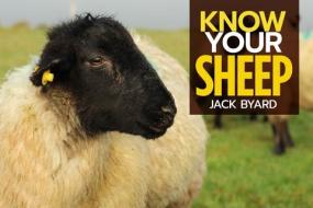 Know Your Sheep di Jack Byard edito da OLD POND BOOKS