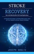 Stroke Recovery di Joseph Shultz edito da Martin Debroh