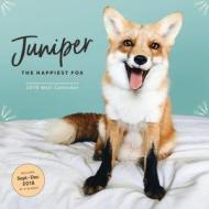 2019 Wall Calendar: Juniper: The Happiest Fox di Jessika Coker edito da Chronicle Books