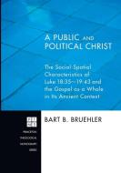 A Public and Political Christ di Bart B. Bruehler edito da Pickwick Publications