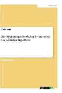 Zur Bedeutung öffentlicher Investitionen. Die Aschauer-Hypothese di Yann Ebel edito da GRIN Verlag