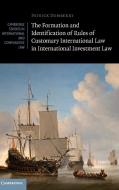 The Formation and Identification of Rules of Customary International Law in International Investment Law di Patrick Dumberry edito da Cambridge University Press