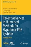 Recent Advances in Numerical Methods for Hyperbolic PDE Systems edito da Springer International Publishing