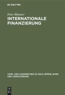Internationale Finanzierung di Peter Blattner edito da De Gruyter Oldenbourg