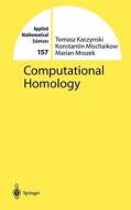 Computational Homology di Tomasz Kaczynski, Konstantin Mischaikow, Marian Mrozek edito da Springer New York