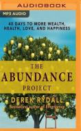 Abundance Project The di DEREK RYDALL edito da Brilliance Audio