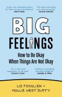 Big Feelings di Liz Fosslien, Mollie West Duffy edito da Canongate Books Ltd.
