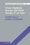 Linear Algebraic Groups and Finite Groups of Lie Type di Gunter Malle, Donna Testerman edito da Cambridge University Press