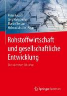 Rohstoffwirtschaft und gesellschaftliche Entwicklung edito da Springer-Verlag GmbH
