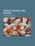 Sunday School and Revival di Charles Davis Tillman edito da Rarebooksclub.com
