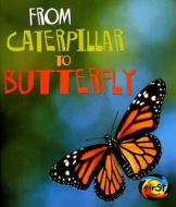 From Caterpillar to Butterfly di Anita Ganeri edito da Heinemann Educational Books