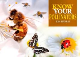 Know Your Bees & Other Pollinators di Tim Harris edito da OLD POND BOOKS