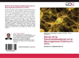 Efecto de la Electroestimulación en la Neurogénesis Entérica In Vitro di Alfonso Carreón Rodríguez, Dulce G. Ávila Rdz., Rocío Rodríguez V. edito da EAE