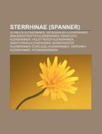 Sterrhinae (Spanner) di Quelle Wikipedia edito da Books LLC, Reference Series