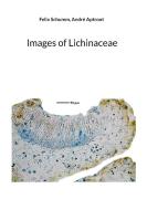 Images of Lichinaceae di Felix Schumm, André Aptroot edito da Books on Demand