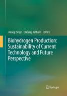 Biohydrogen Production: Sustainability of Current Technology and Future Perspective edito da Springer, India, Private Ltd