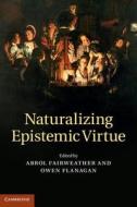 Naturalizing Epistemic Virtue di Abrol Fairweather edito da Cambridge University Press