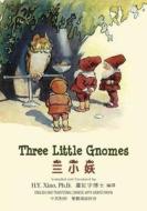 Three Little Gnomes (Traditional Chinese): 04 Hanyu Pinyin Paperback Color di H. y. Xiao Phd edito da Createspace Independent Publishing Platform