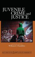 Juvenile Crime and Justice edito da SAGE Publications Inc