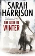 The Rose in Winter di Sarah Harrison edito da Severn House Publishers Ltd