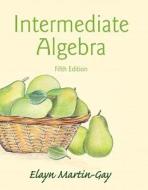 Interactive Lecture Series on DVD for Intermediate Algebra di Elayn Martin-Gay edito da Pearson Education (US)