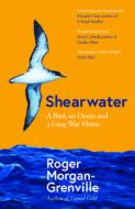 Shearwater: A Bird, an Ocean, and a Long Way Home di Roger Morgan-Grenville edito da ICON BOOKS