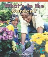 What's in the Garden?: Learning to Compare Two Sets of Objects di Jessica Baron edito da ROSEN PUB GROUP
