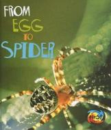 From Egg to Spider di Anita Ganeri edito da Heinemann Educational Books