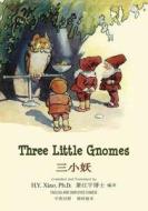 Three Little Gnomes (Simplified Chinese): 06 Paperback Color di H. y. Xiao Phd edito da Createspace