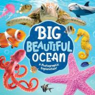 Big Blue Ocean di Kidsbooks Publishing edito da RAINSTORM