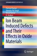 Ion Beam Induced Defects And Their Effects In Oxide Materials di Parmod Kumar, Jitendra Pal Singh, Vinod Kumar, K. Asokan edito da Springer Nature Switzerland AG