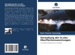 Verwaltung der in-situ-Oberflächensammlungen di Dean Tinashe Chamanga edito da Verlag Unser Wissen