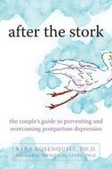 After The Stork di Sara Rosenquist edito da New Harbinger Publications