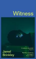 Witness di Jamel Brinkley edito da HarperCollins Publishers