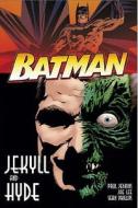 Batman di Paul Jenkins, Jae Lee, Sean Phillips edito da Titan Books Ltd