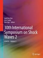 30th International Symposium on Shock Waves 2 edito da Springer International Publishing