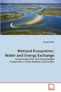 Wetland Ecosystems: Water and Energy Exchange di George Burba edito da VDM Verlag