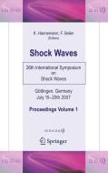 Shock Waves edito da Springer Berlin Heidelberg