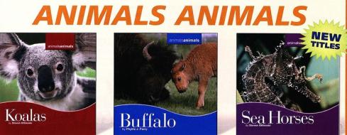 Animals, Animals Set 6 edito da Cavendish Square Publishing