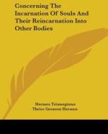 Concerning The Incarnation Of Souls And Their Reincarnation Into Other Bodies di Hermes Trismegistus, Thrice Greatest Hermes edito da Kessinger Publishing, Llc