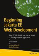 Beginning Jakarta Ee Web Development di Luciano Manelli, Giulio Zambon edito da Apress