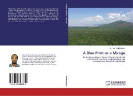 A Blue Print or a Mirage di Birhanu Woldegiorgis edito da LAP Lambert Academic Publishing