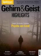 Gehirn&Geist Dossier - Psyche am Limit di Spektrum der Wissenschaft Verlagsgesellschaft edito da Spektrum D. Wissenschaft