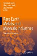 Rare Earth Metals and Minerals Industries edito da Springer International Publishing