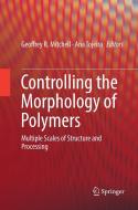 Controlling the Morphology of Polymers edito da Springer International Publishing