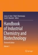 Handbook Of Industrial Chemistry And Biotechnology edito da Springer International Publishing Ag